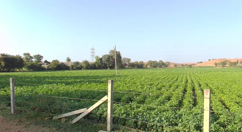 693, Sector 3, Pithampur Industrial Area, Pithampur, Madhya Pradesh 453001, India preview 2