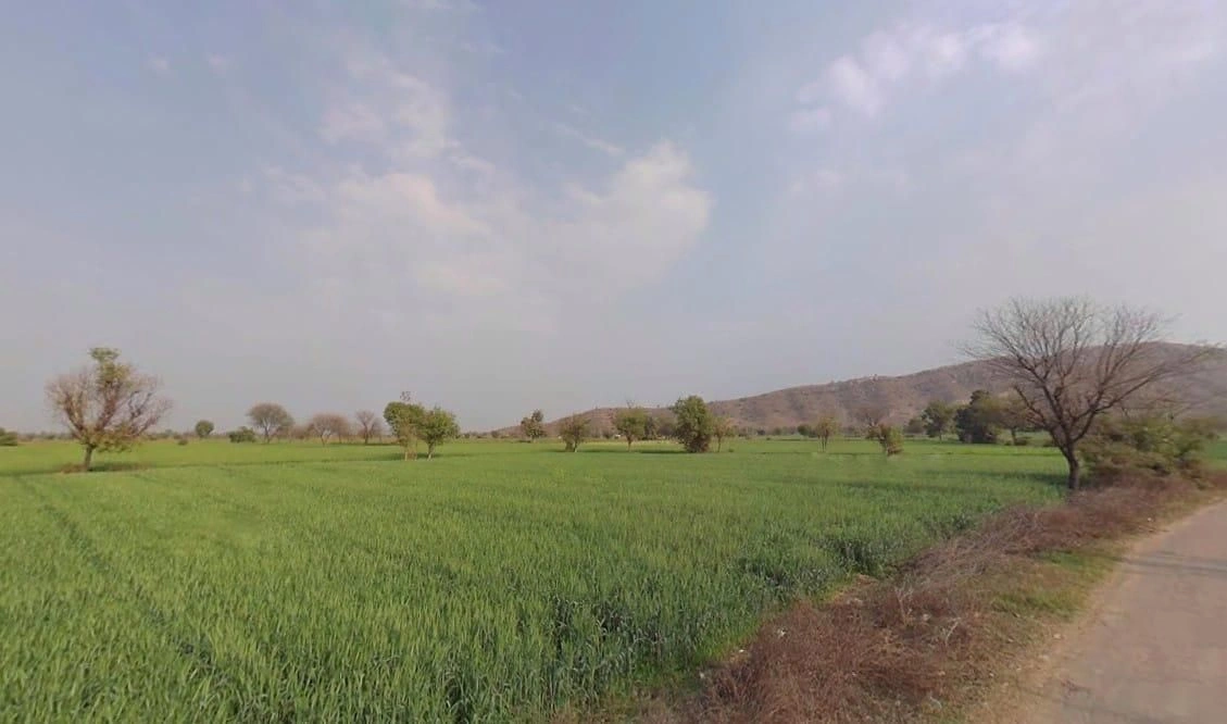 CQVH+5HP, Khunteta Khurd, Rajasthan 301001, India