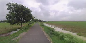 Unnao, Uttar Pradesh, India preview 3