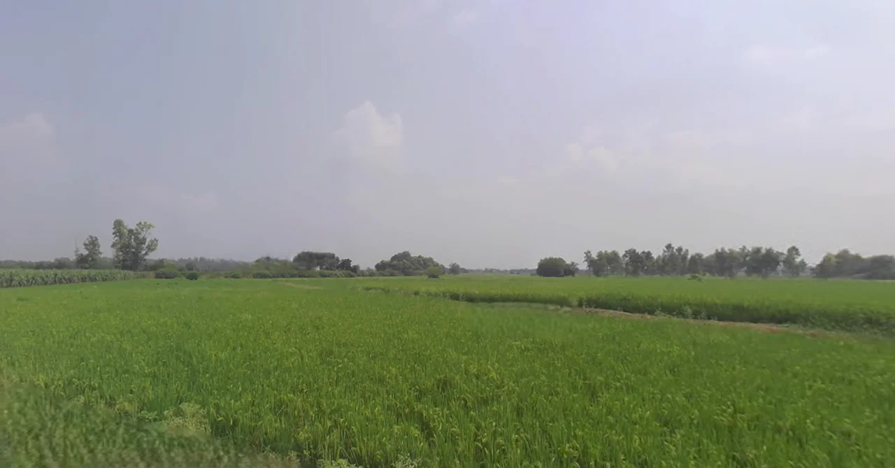 Bajuha Khurd, Punjab 144033, India preview 2