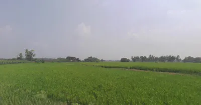 Bajuha Khurd, Punjab 144033, India preview 2