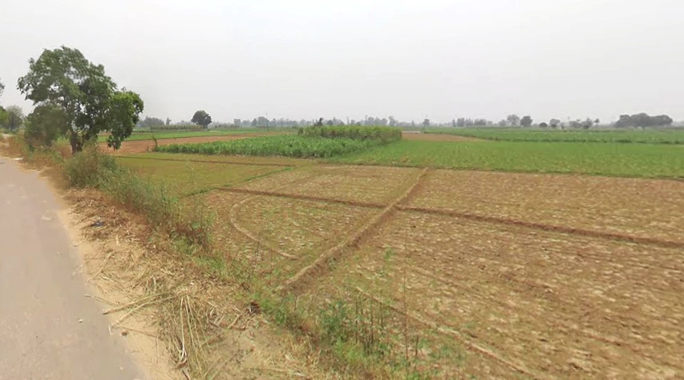 Nipaniya, Uttar Pradesh 244236, India