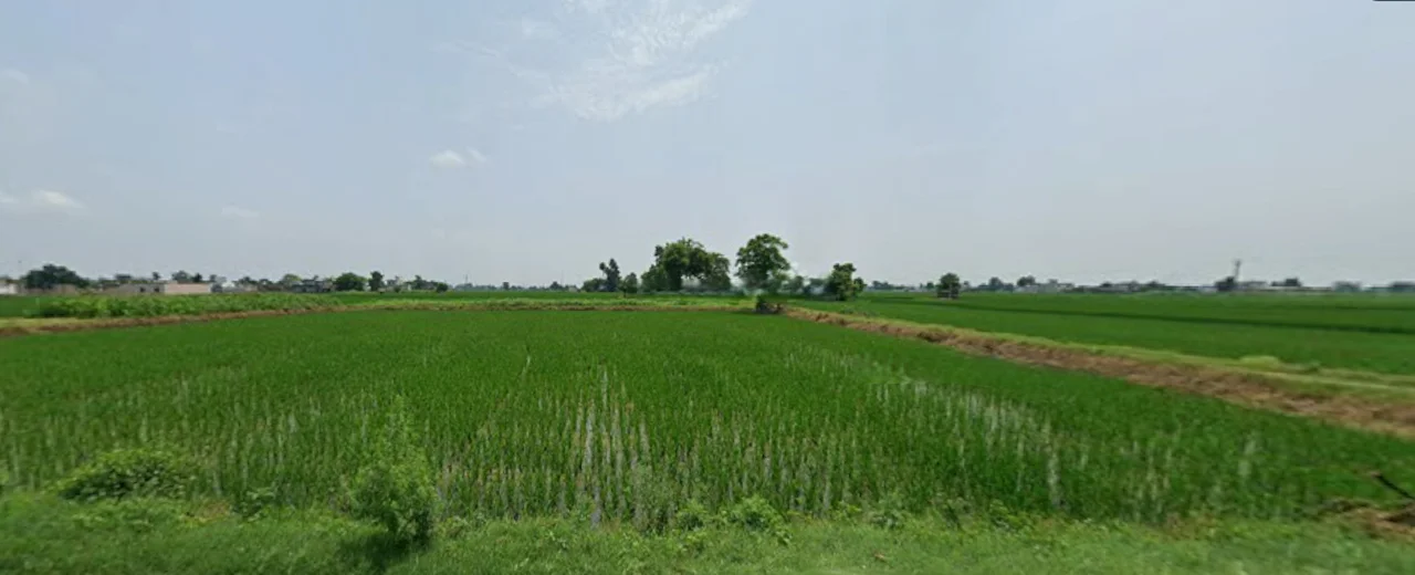 Kalwa, Punjab 147021, India preview 2