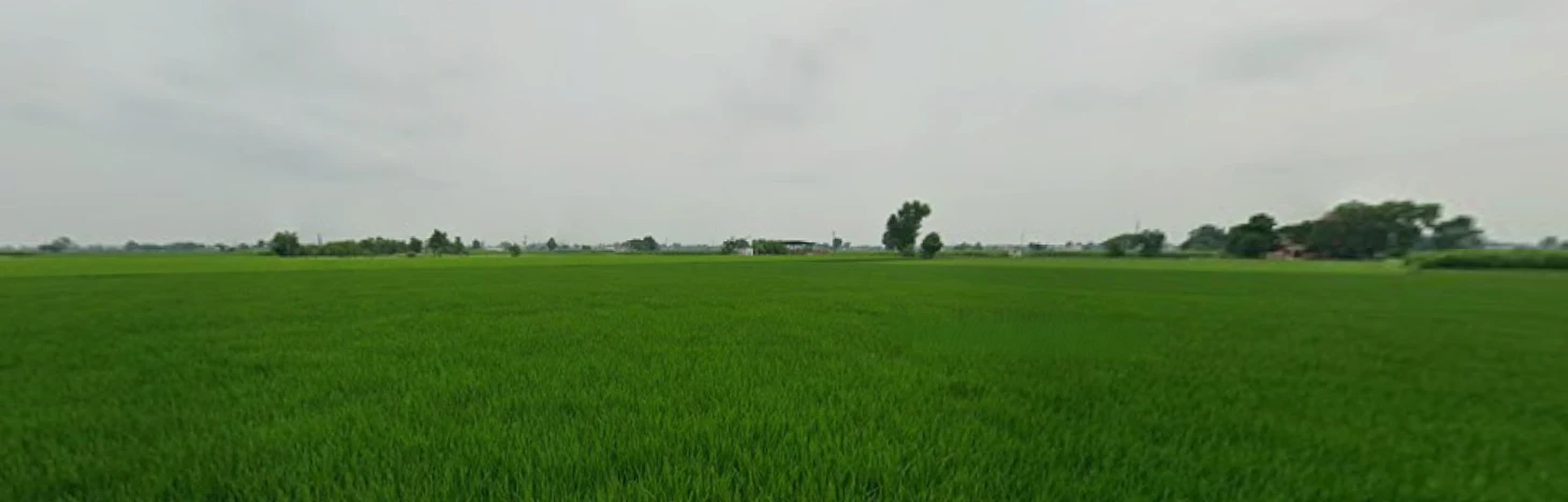 Fagan Majra, Punjab 147006, India