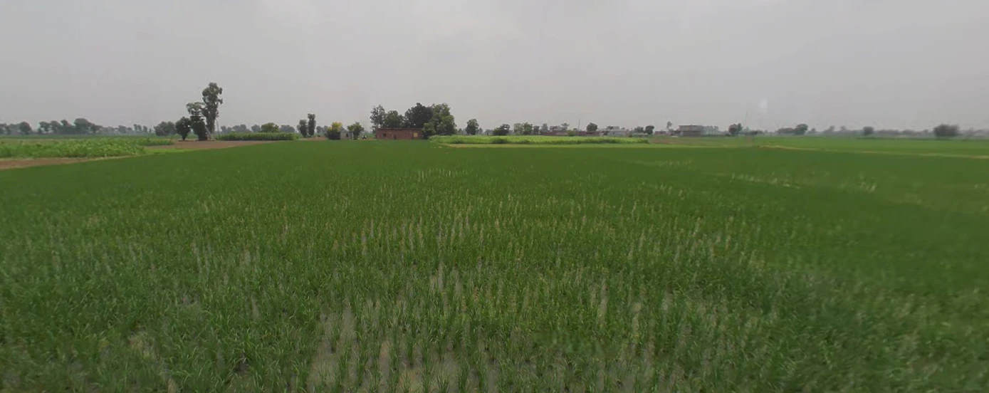 Dittupur, Punjab, India