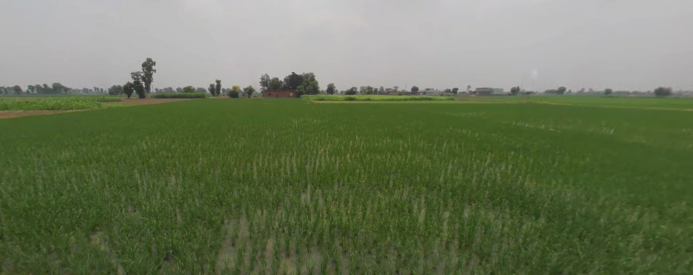 Dittupur, Punjab, India