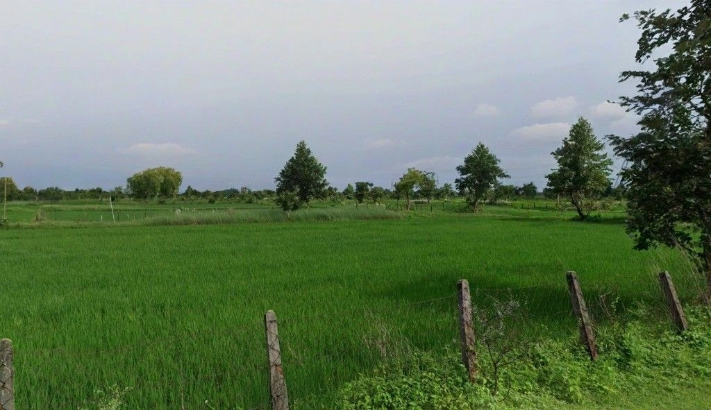 Chhuikhadan, Chhattisgarh 491441, India