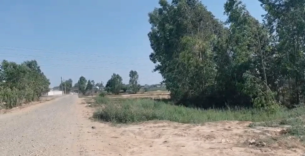 Raipur Rani, Haryana 134204, India