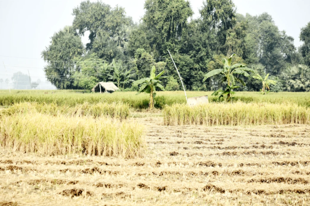 Kharsodkhurd, Madhya Pradesh, India