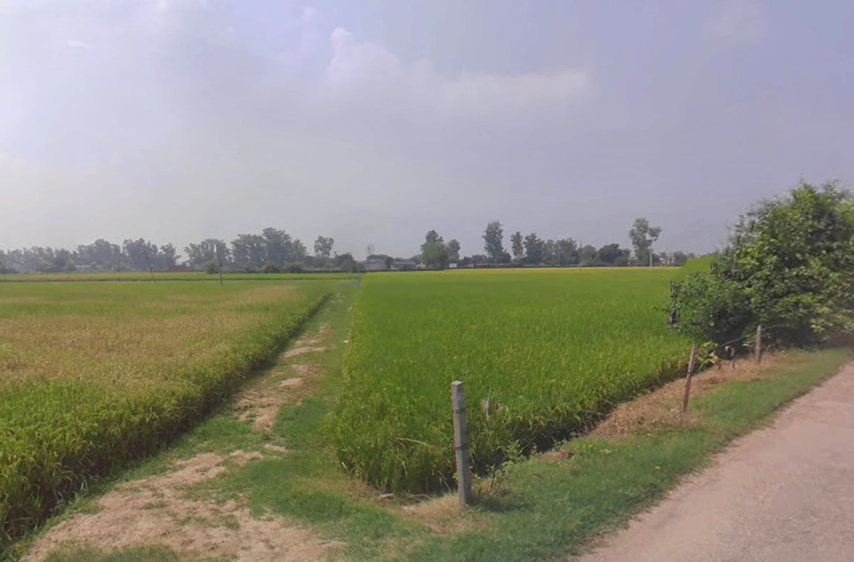 Pehowa, Haryana 136128, India