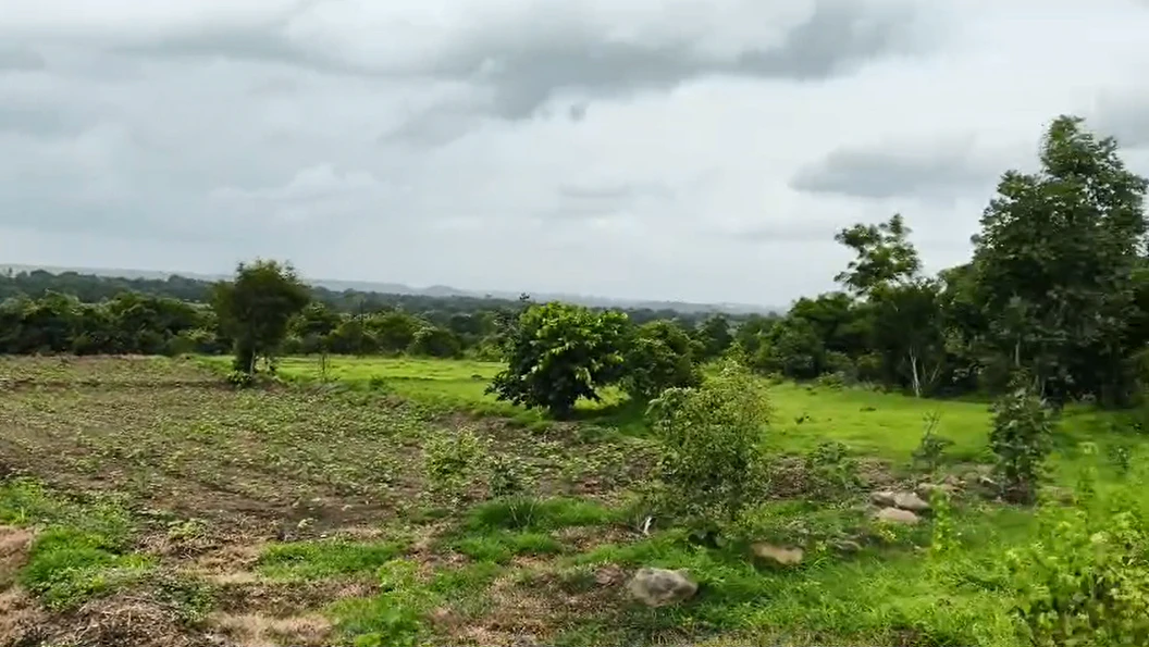 9PMW+9R4, Vikarabad, Kotpalli, Telangana 501106, India
