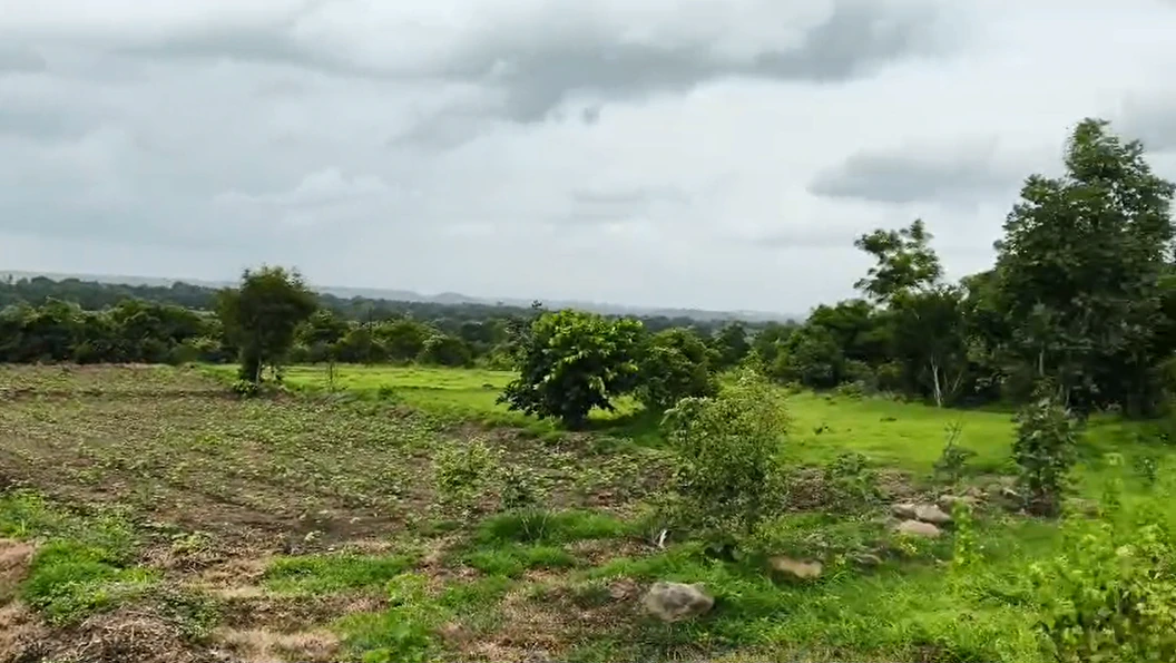 9PMW+9R4, Vikarabad, Kotpalli, Telangana 501106, India
