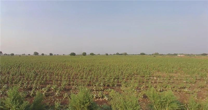 Tranja, Gujarat 387530, India