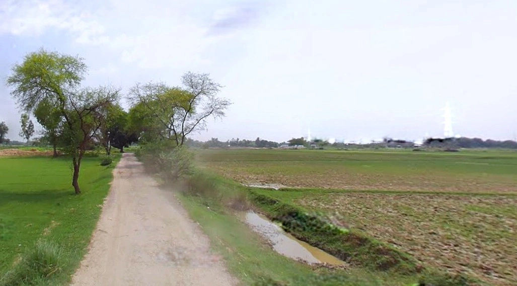 Barnagar, Madhya Pradesh 456771, India