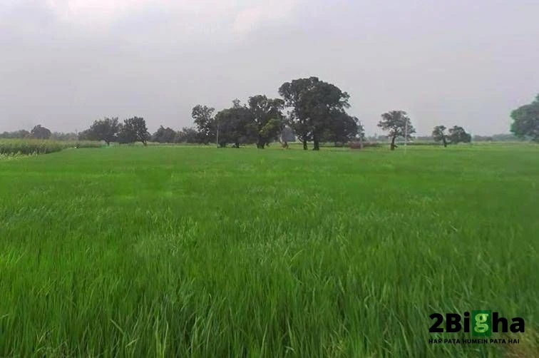 Kanpur - Lucknow Rd, Railway Colony, Alambagh, Lucknow, Uttar Pradesh, India