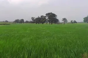 Kanpur - Lucknow Rd, Railway Colony, Alambagh, Lucknow, Uttar Pradesh, India preview 2