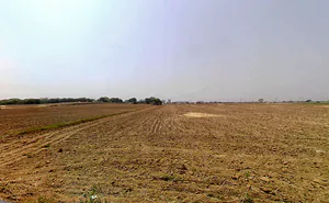 Sector 95, Gurugram, Haryana 122505, India preview 3