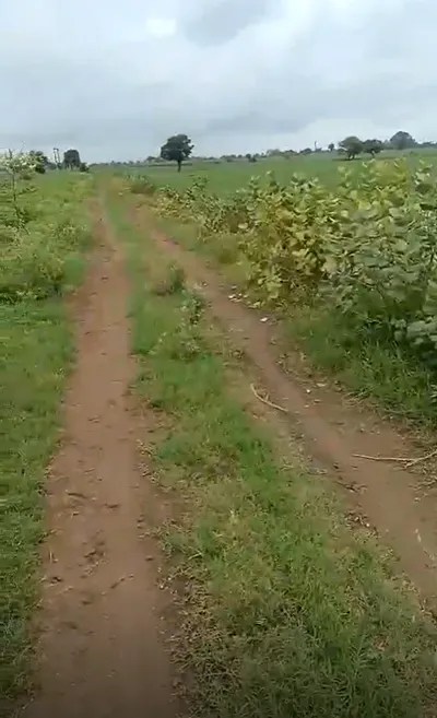 Jolana, Dhar, Madhya Pradesh 454111, India preview 2
