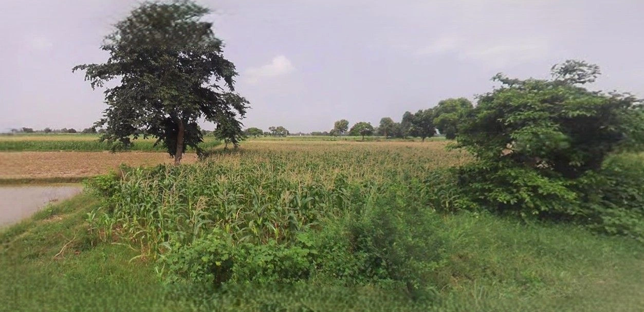 Kaimganj, Uttar Pradesh 209502, India
