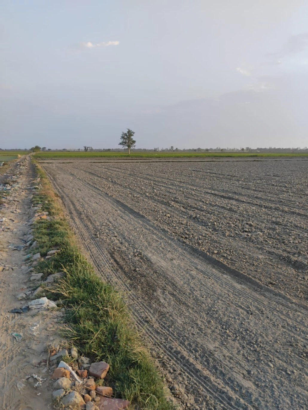 Bishambhara, Uttar Pradesh 281404, India