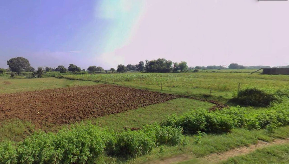 Hardoi, Uttar Pradesh 241001, India