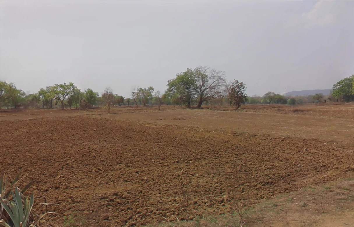 Dewakar, Chhattisgarh 495224, India