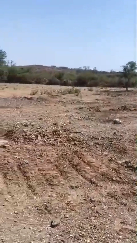 RVR2+P5 Manduthal, Rajasthan, India