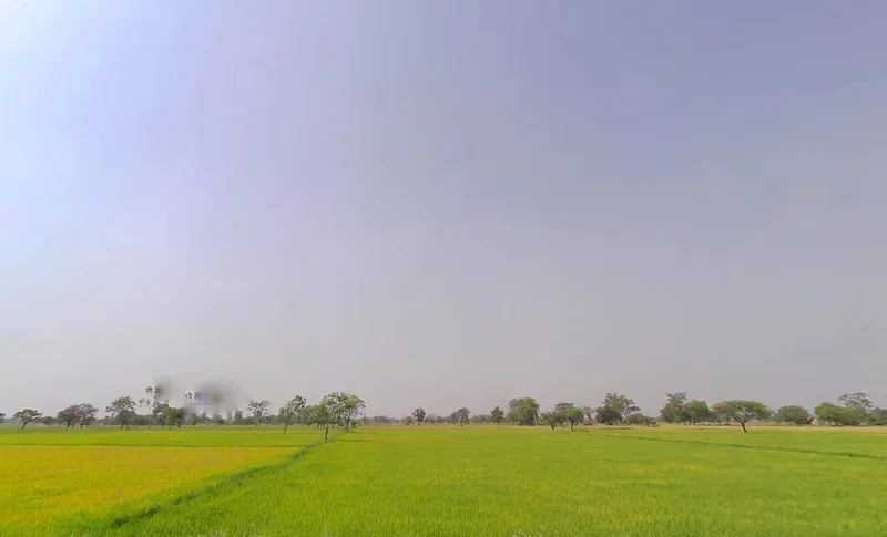 Khamariya, Chhattisgarh 490020, India preview 3