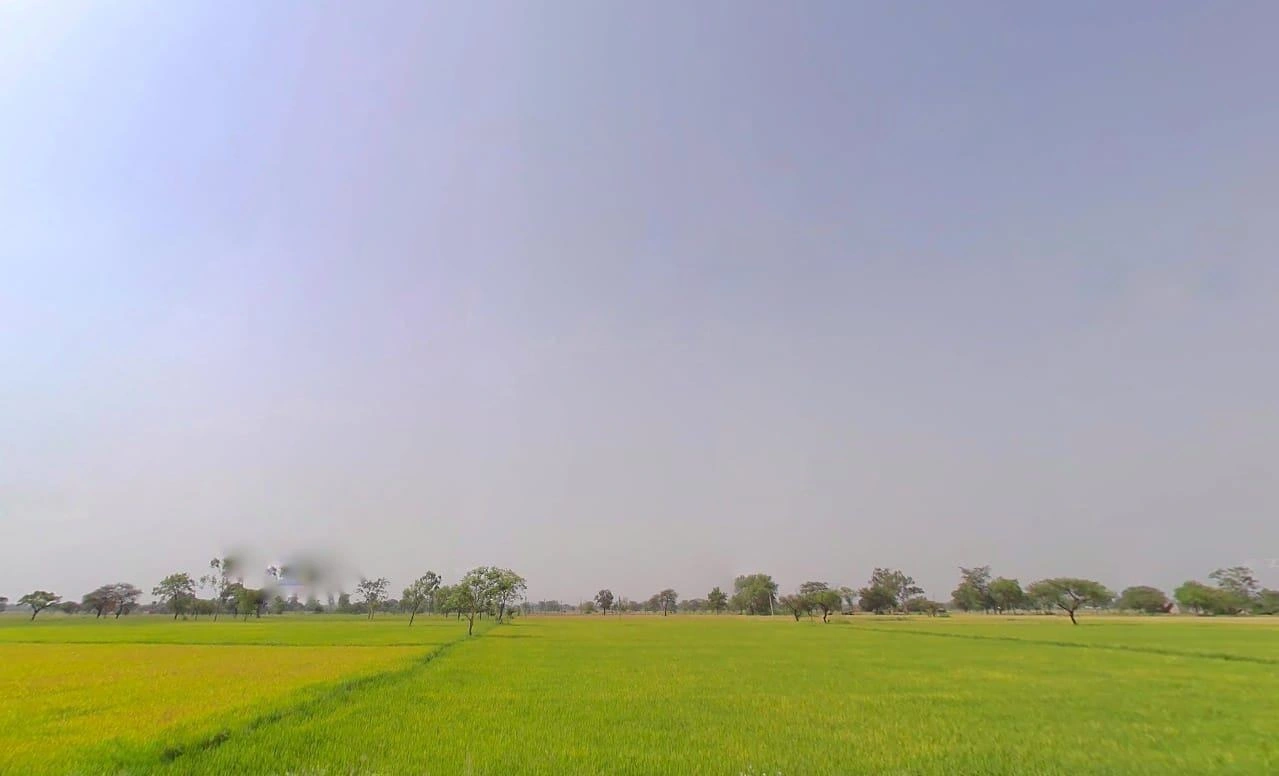 Khamariya, Chhattisgarh 490020, India