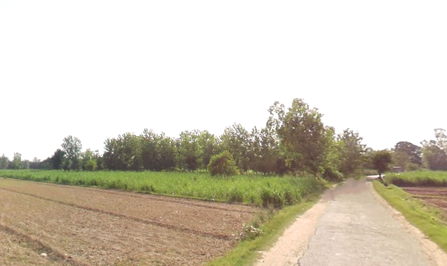 Bahadurgarh, Uttar Pradesh 245208, India