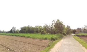 Bahadurgarh, Uttar Pradesh 245208, India preview 2