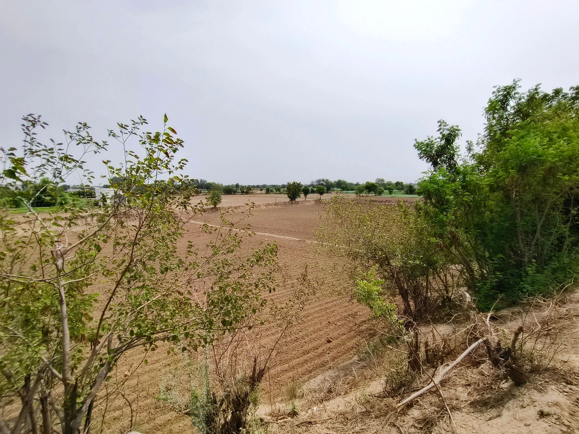 Jatwara, Haryana 124109, India
