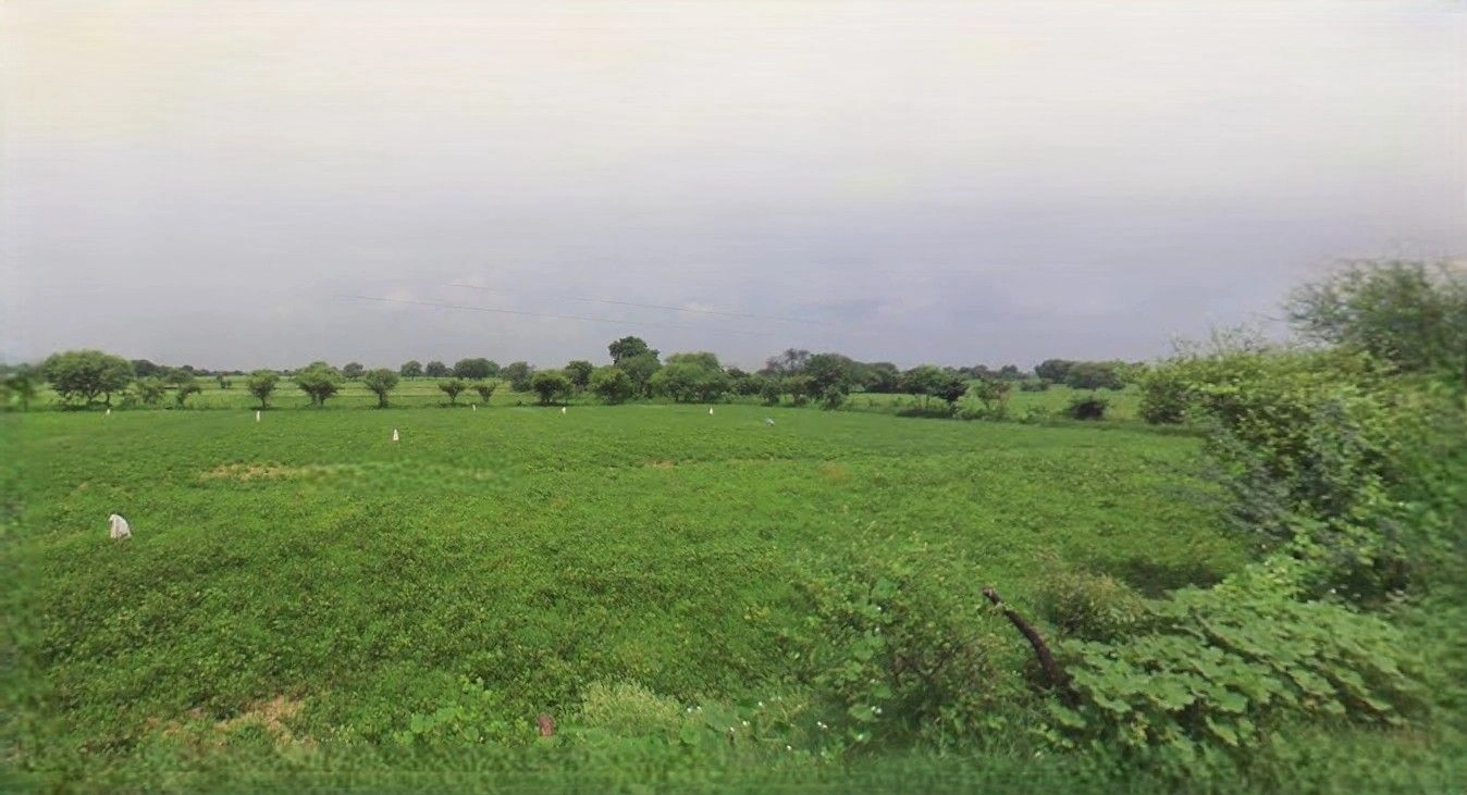 Ramnagar, Uttarakhand 244715, India preview 3