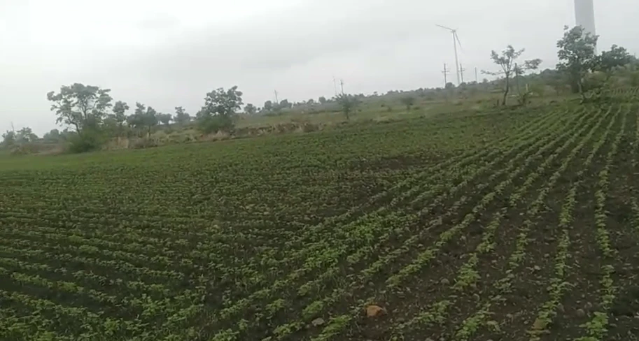 683G+6WX, Dewas, Jamoniya, Madhya Pradesh 455116, India