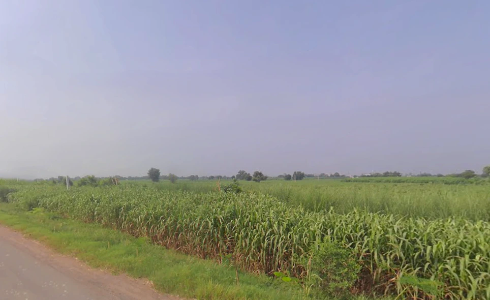 X8CR+FWC, NH 19, Khatela Sarai, Haryana 121105, India