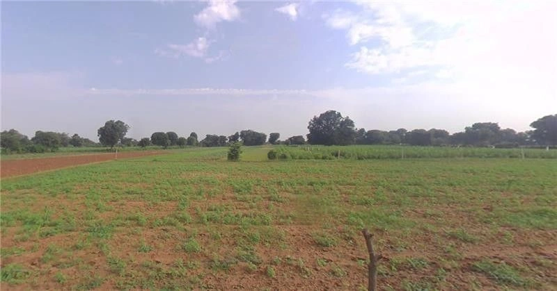 Mandha, Rajasthan, India