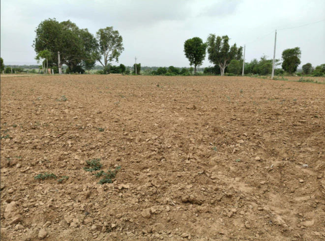 RCWJ+Q2 Kot Jewar, Rajasthan, India