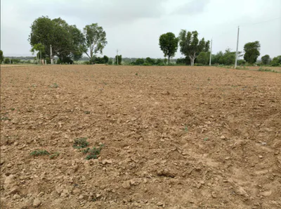 RCWJ+Q2 Kot Jewar, Rajasthan, India preview 2