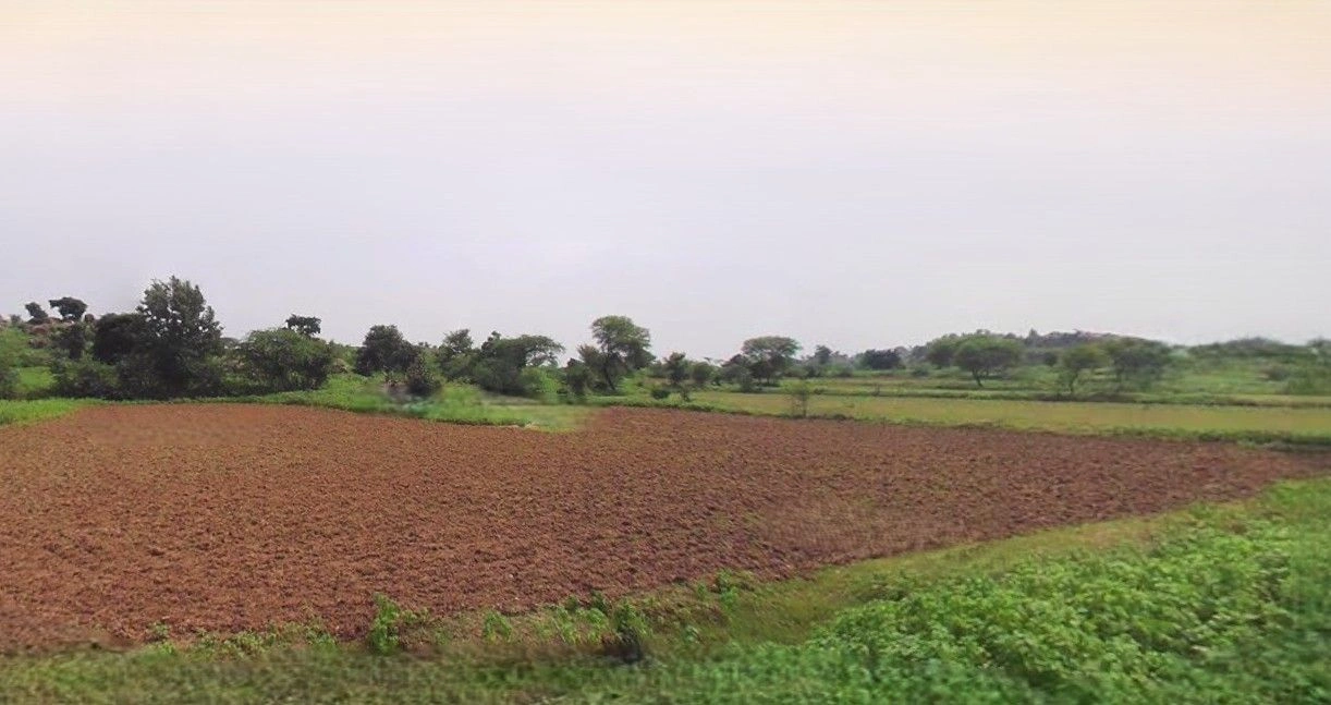 Hasanpur, Uttar Pradesh 244241, India