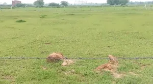 Farukh Nagar, Haryana 122506, India preview 3