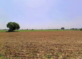Shikarpur, Uttar Pradesh 203395, India preview 2