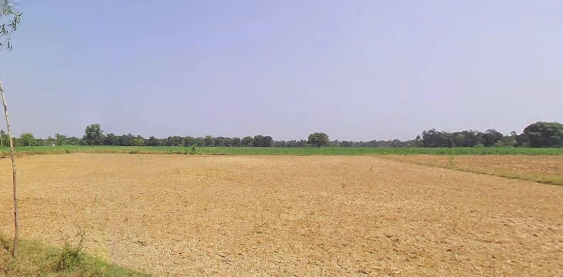 Bijnor, Uttar Pradesh 246701, India