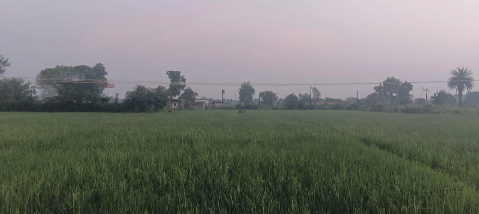 CR7H+RJ4, Shivpuri, Bhada Bawadi, Madhya Pradesh 473551, India
