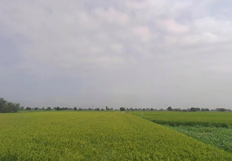 Karmatand, Jharkhand 826004, India preview 2