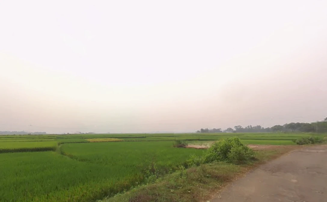 Anara, West Bengal 722134, India