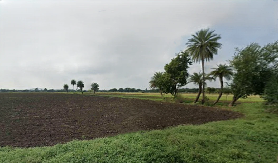 Dharola, Madhya Pradesh 465445, India