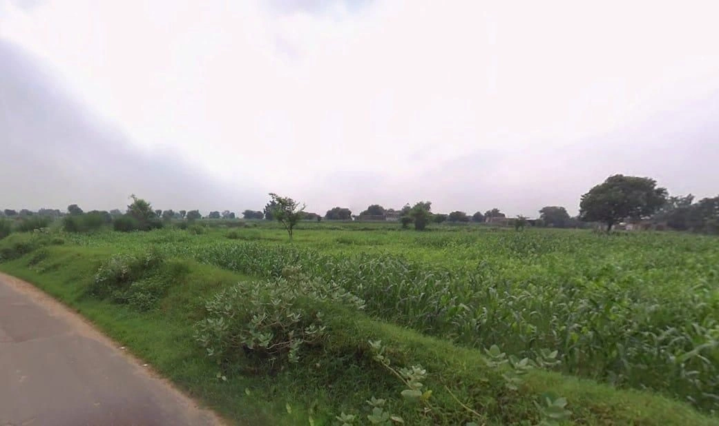 Jairoli, Rajasthan, India