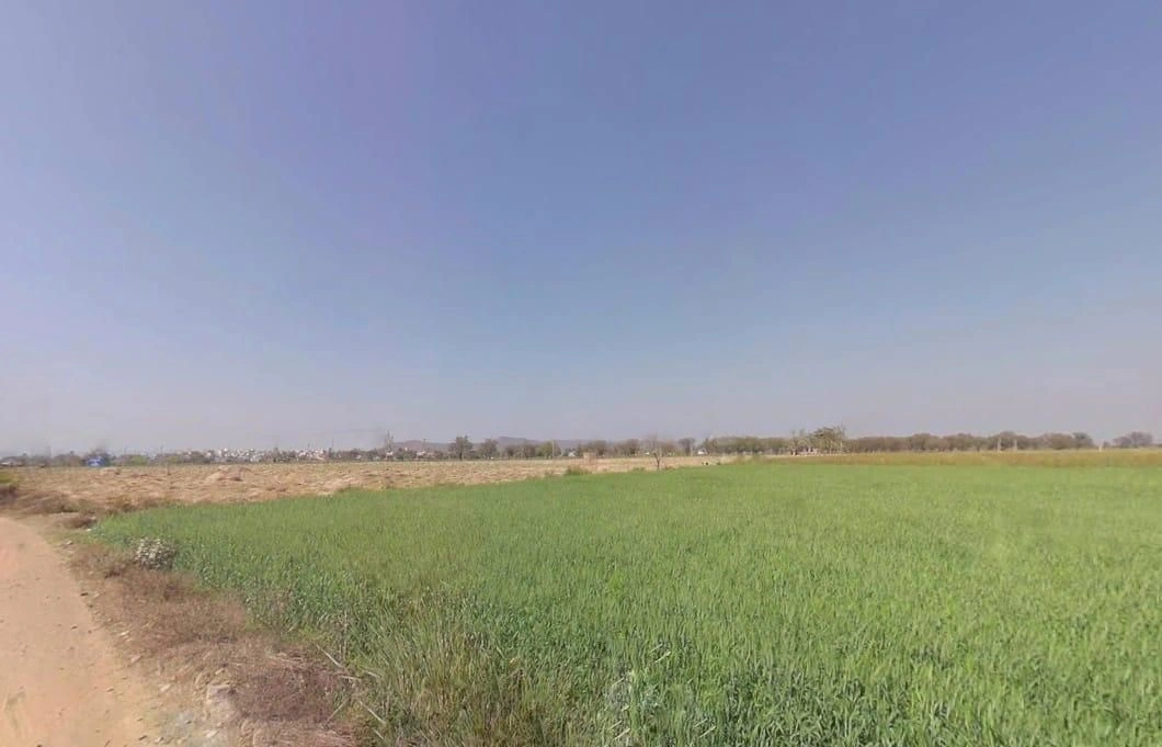 Naugaon, Rajasthan 301025, India preview 2