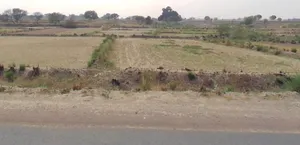 Saharanpur, Uttar Pradesh, India preview 3