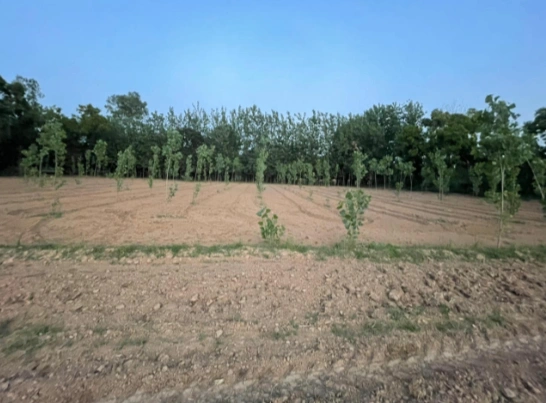 VHM7+9M Nandi Firozpur, Saharanpur, Uttar Pradesh, India preview 3